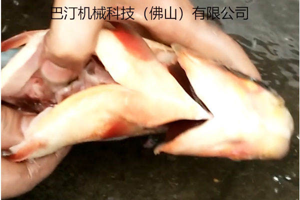 殺魚機的優(yōu)點有哪些?巴汀機械小編為您細數